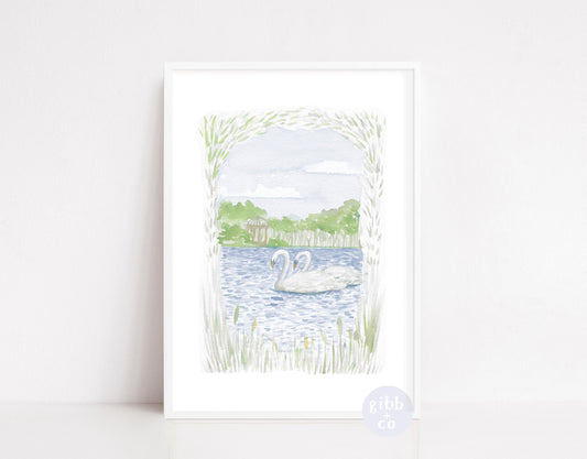 Swimming Swans, nursery art print