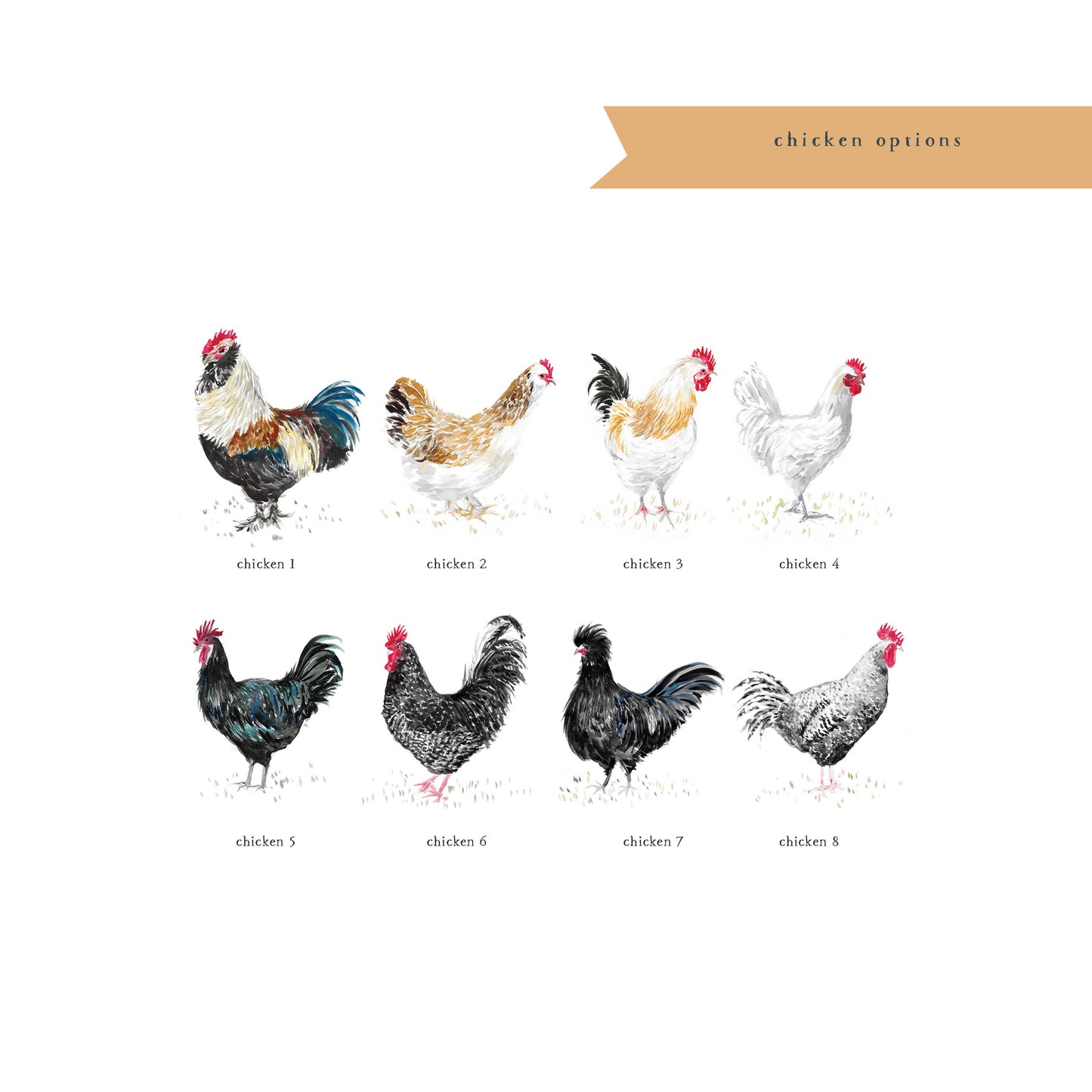 Personalized chicken notecards, stationery, farm, farm fresh, chicken, watercolor, printed art, gift for, feminine, illustration, flat card